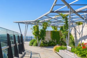 toiture terrasse végétalisée